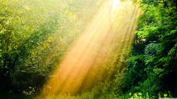 Ray of sunlight