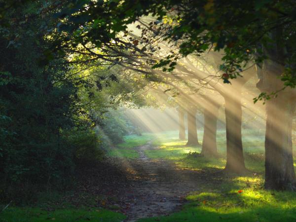 Rays of Hope