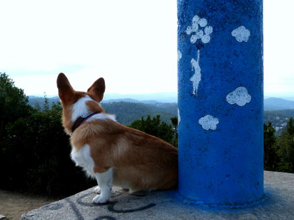 Reached the top
