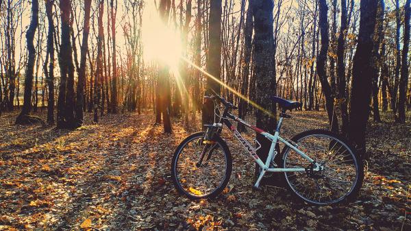 Red and White Hardtail Bike