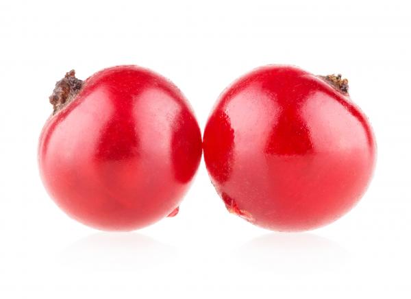 Red Berries