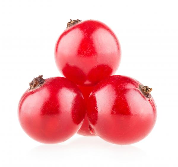 Red berries