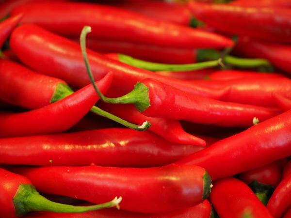 Red chilli pepper