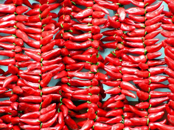 Red Chili Peppers