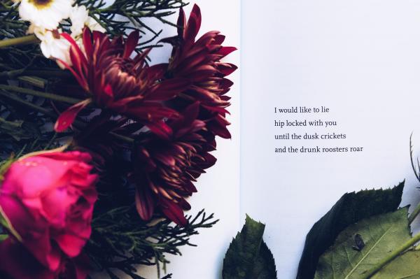 Red Daisies and Pink Roses With Text Overlay