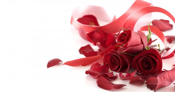 Red Flowers