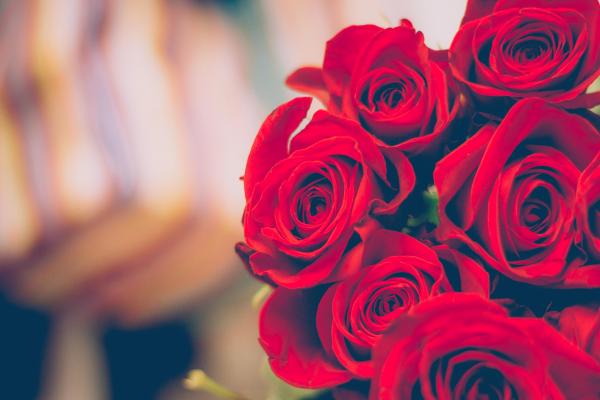 Red Roses