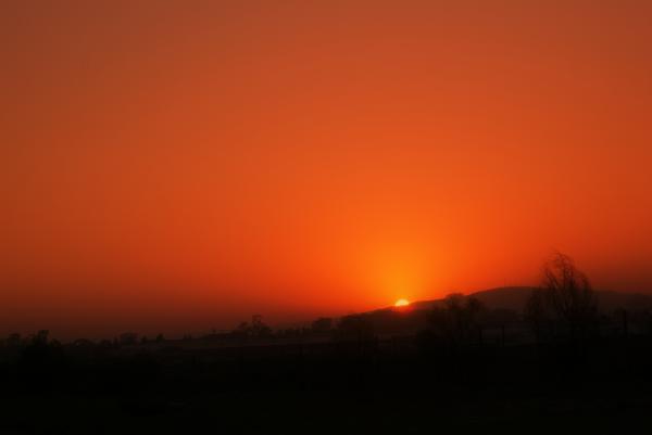 Red Haze
