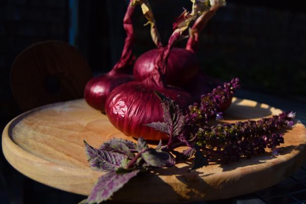 Red onion