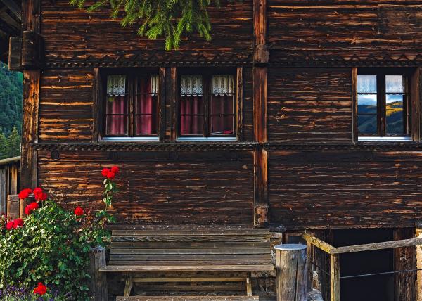 Red Petaled Flower by Porch of Brown Wooden House