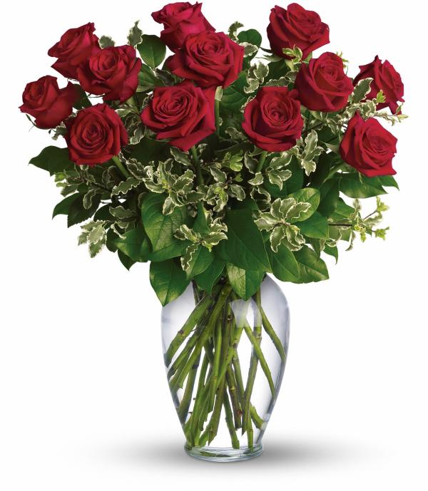 Red rose
