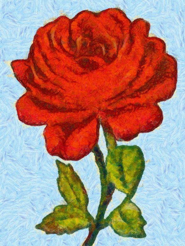 Red Rose