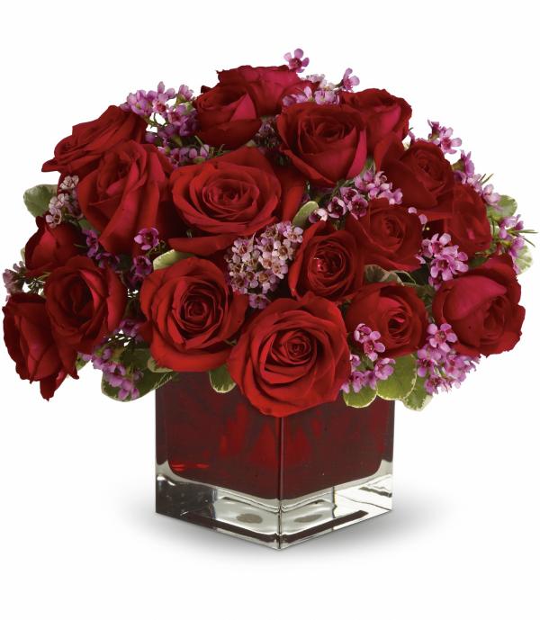 Red Roses