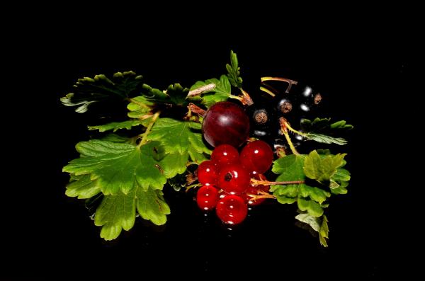 Red Round Small Berry
