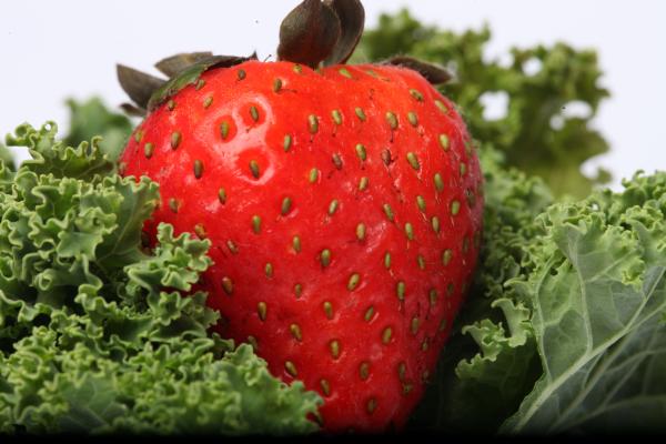Red Strawberry on kale