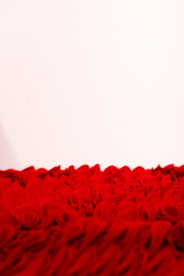 Red Textile