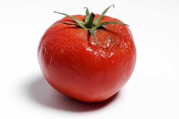 Rotten tomato