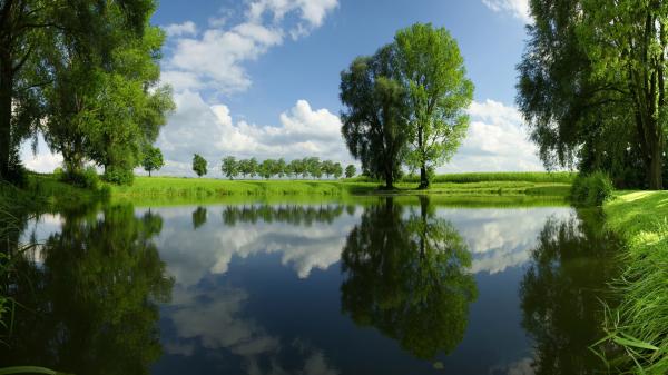 Reflecting Landscape Scene