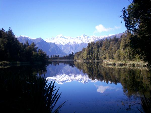 Reflection