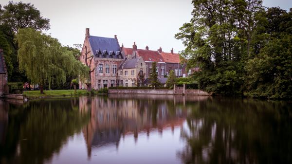 Reflection of Houses in Lake
