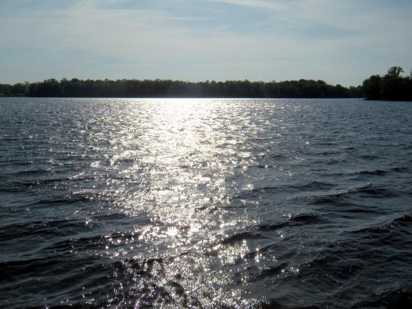 Reflection On Water At Dusk