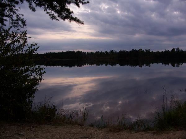 Reflections