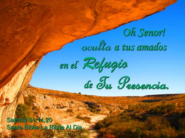 Refugio de Tu Presencia