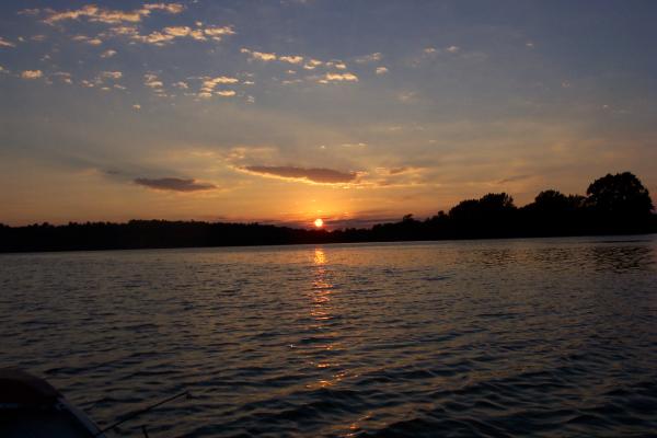 Rice lake am