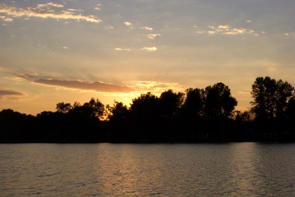 Rice lake