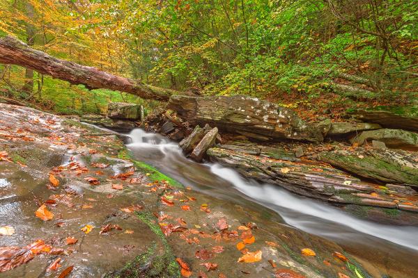 Ricketts Glen Autumn Stream - HDR