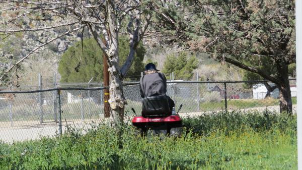 Riding in the Park