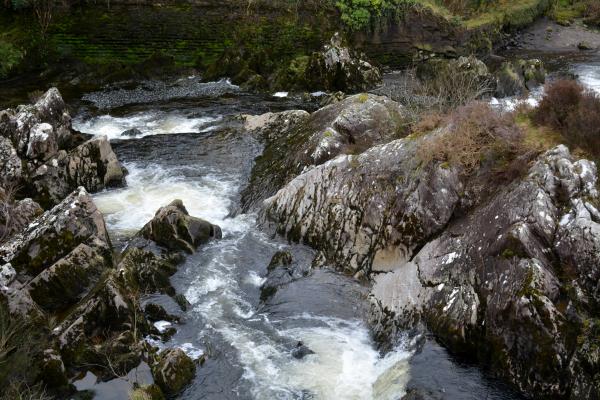 Ring of Kerry - 21