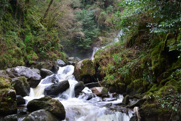 Ring of Kerry - 41