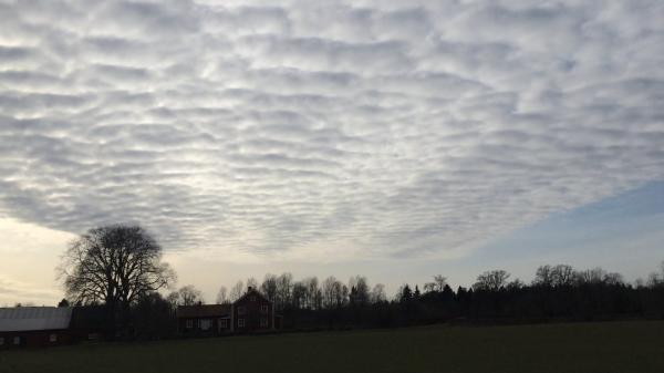 Rippled sky