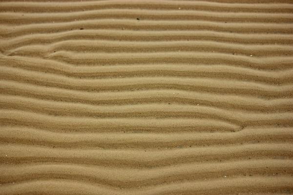Ripples in the Sand