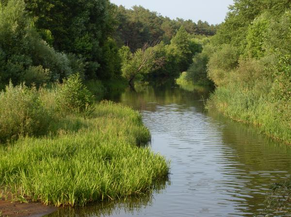 River