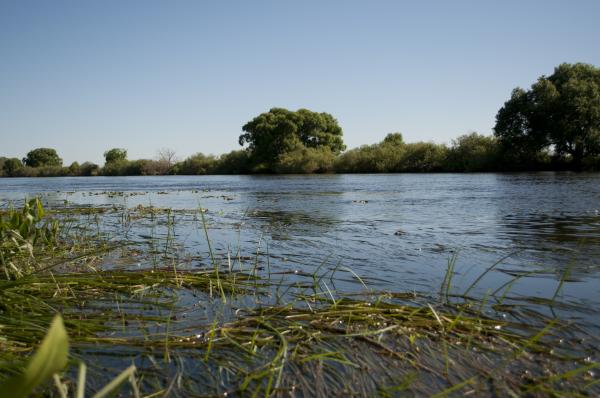 River