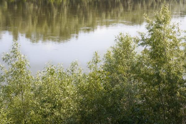 river