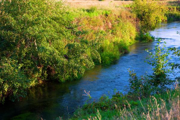 river