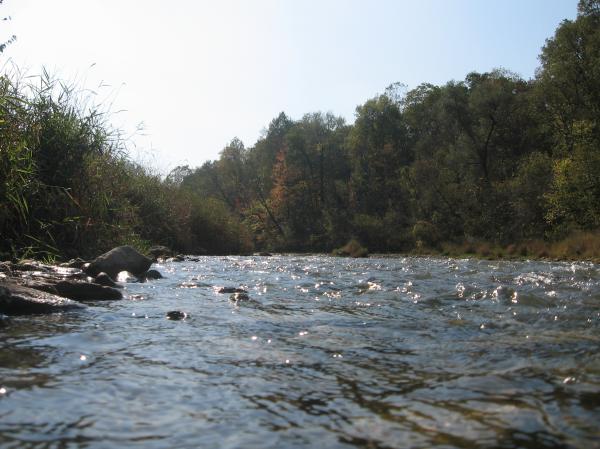 River