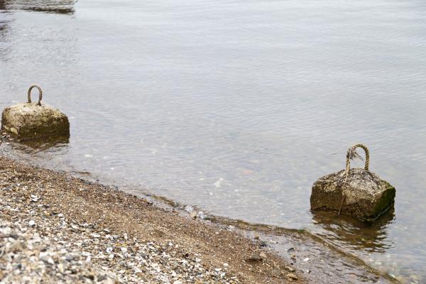 River Bank