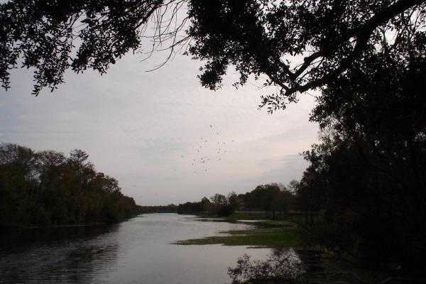 River Bend