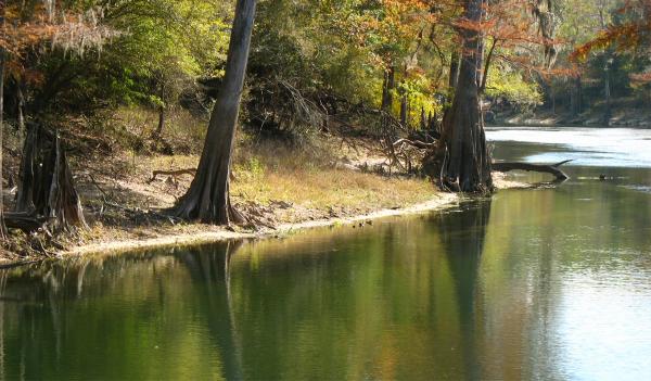 River Going Down To Gulf