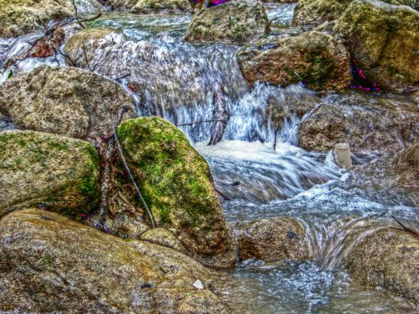River in spring