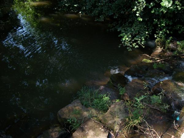River of Life Obstacles