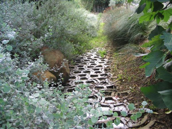 Riverbed Erosion