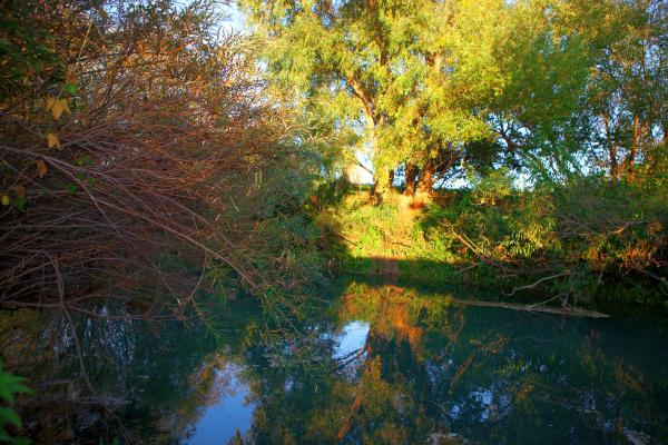 Riverscene
