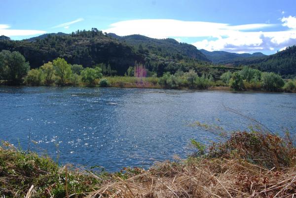 Riverside view