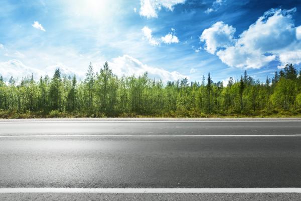 Summer road