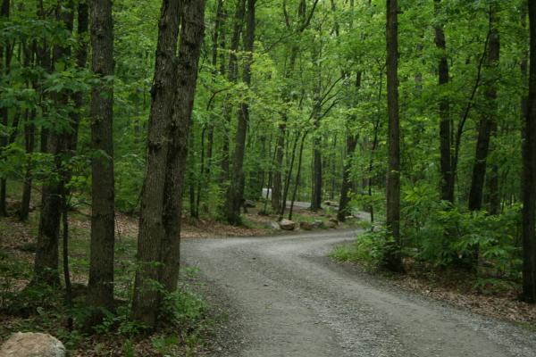 Road At Mauch Chunk Lake Pa